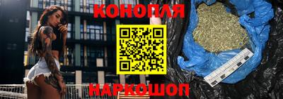 прущие крисы Будённовск