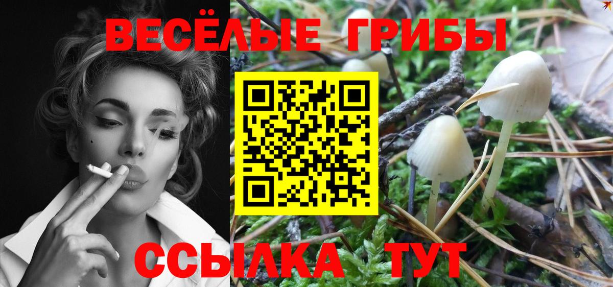 Галлюциногенные грибы прущие грибы  Вход с VPN  Мегион 