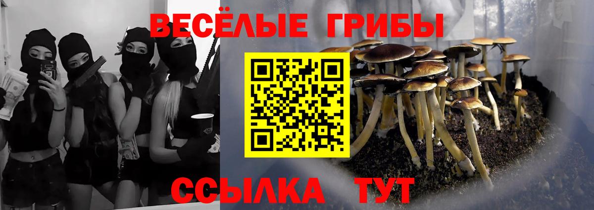 Псилоцибиновые грибы мицелий Мегион